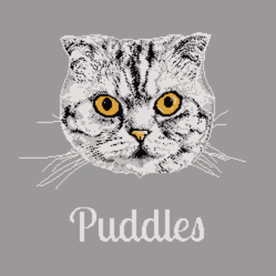 Cover image for Pixel Portraits