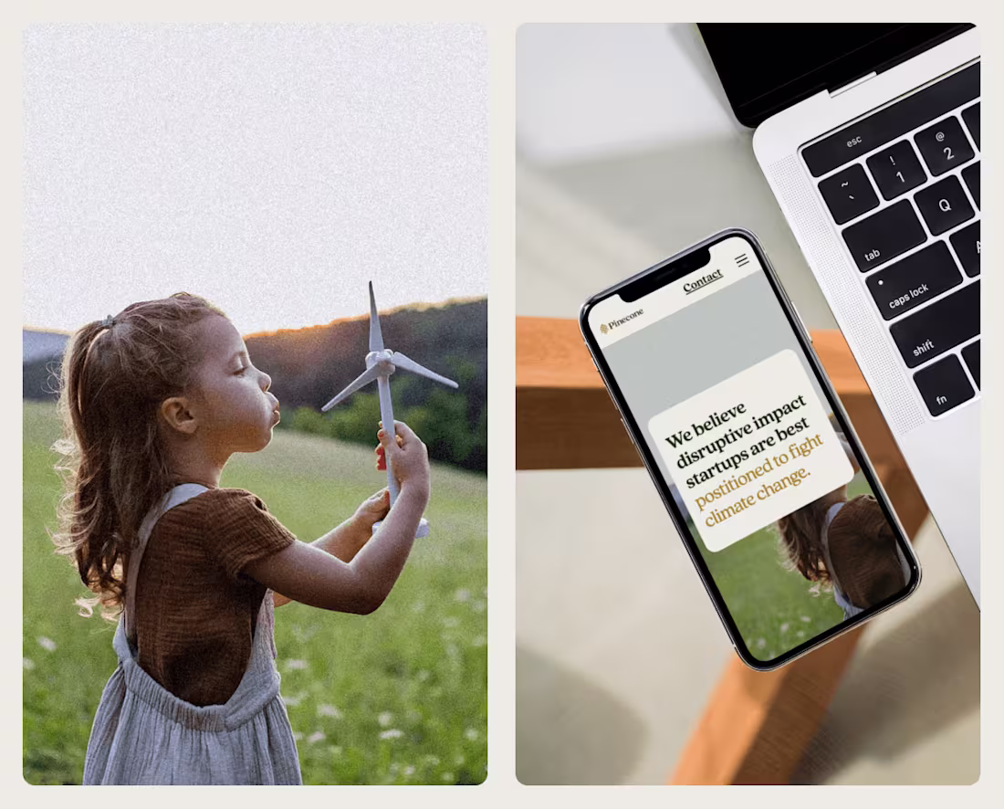 Cover image for Pinecone Impact 