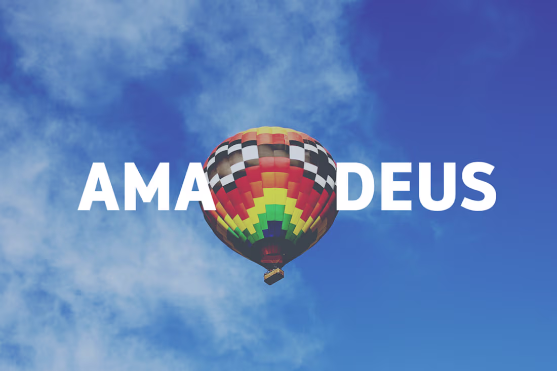 Cover image for Amadeus IT Group