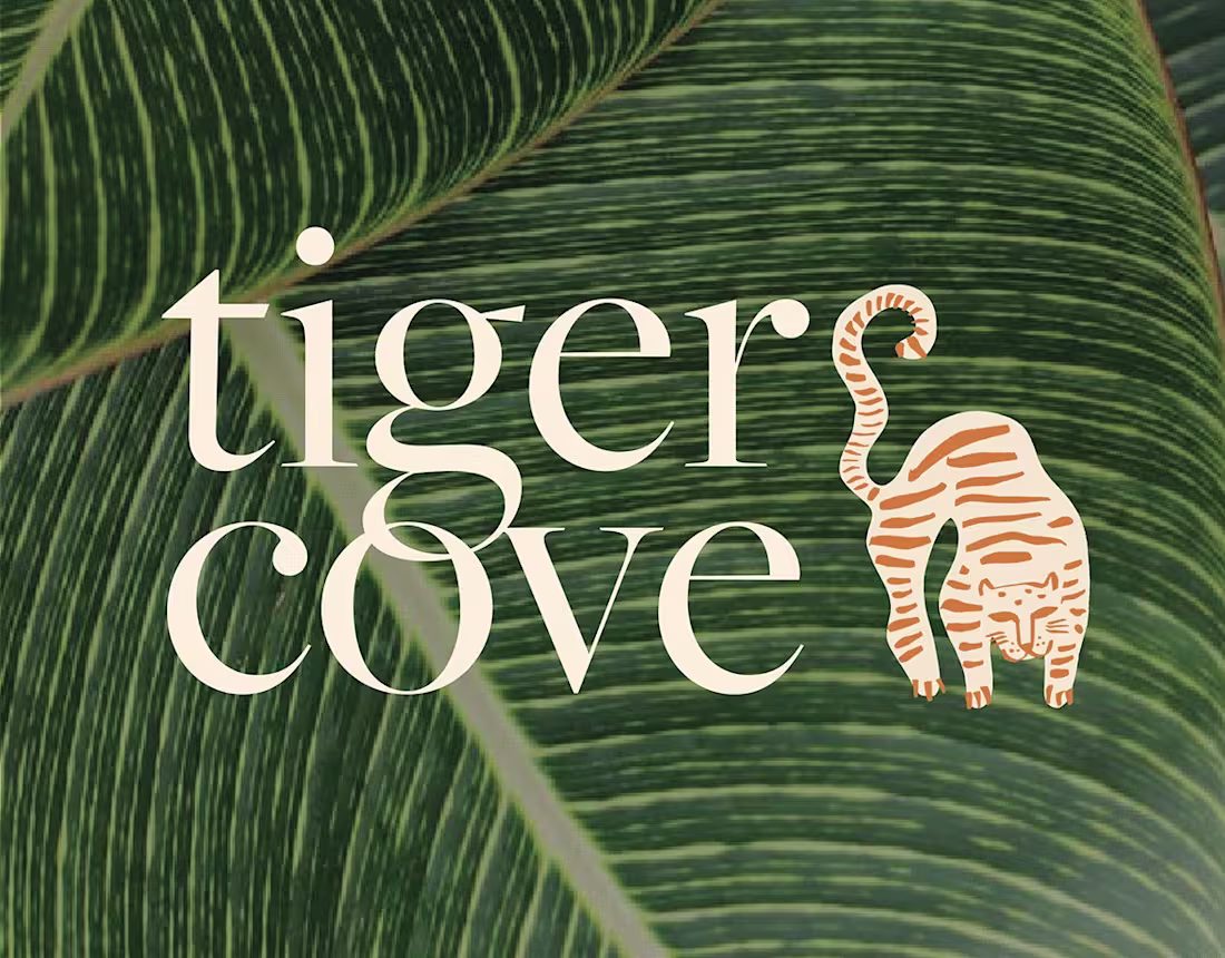 Cover image for Tiger Cove