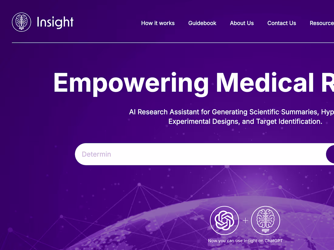 Cover image for Insight: AI Developer