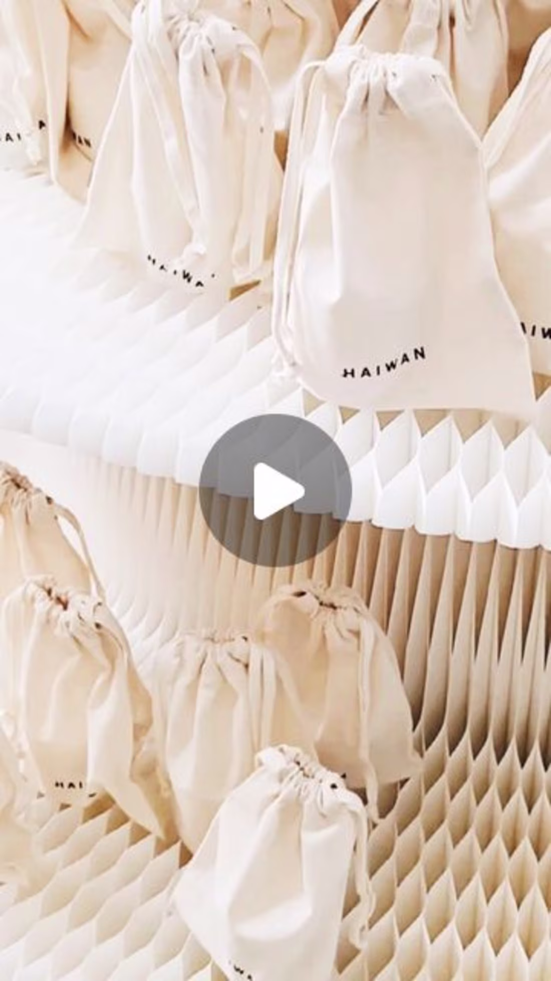 Cover image for Content Creation - Haiwan x Lilin+Co (Malaysia)