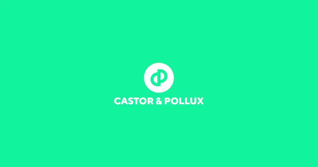 Cover image for Castor & Pollux - Awwwards SOTD
