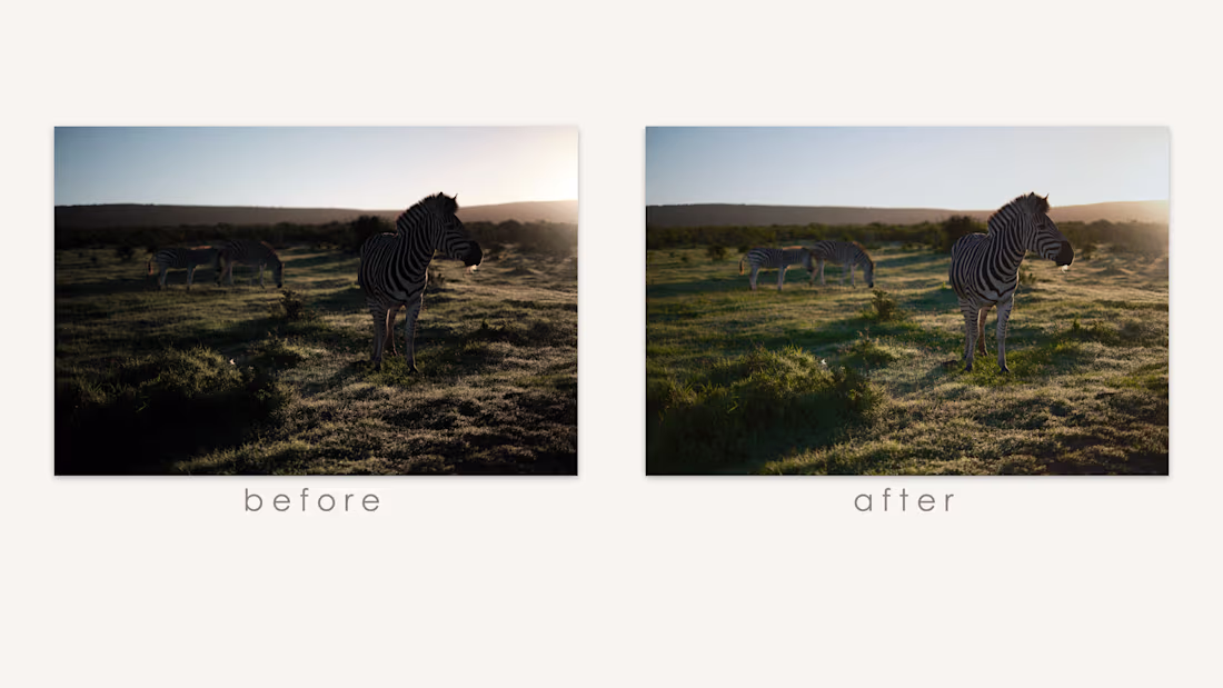 Cover image for The objective for this image