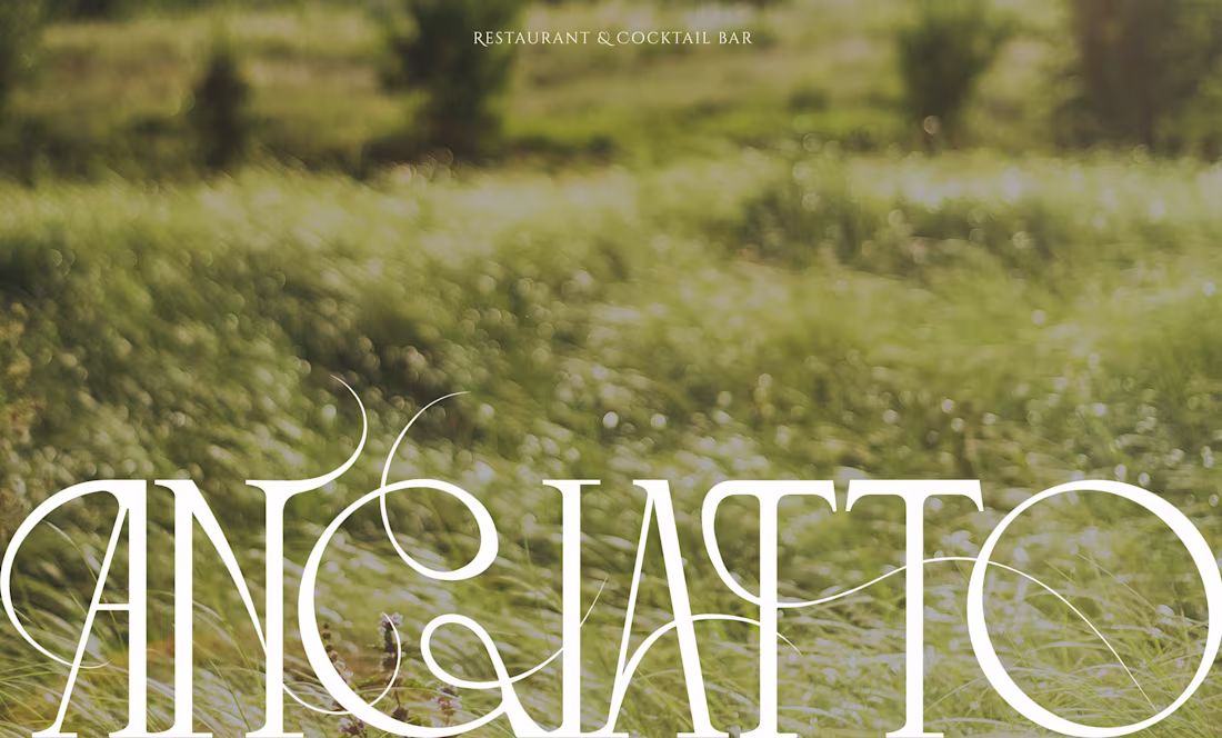 Cover image for Angiatto