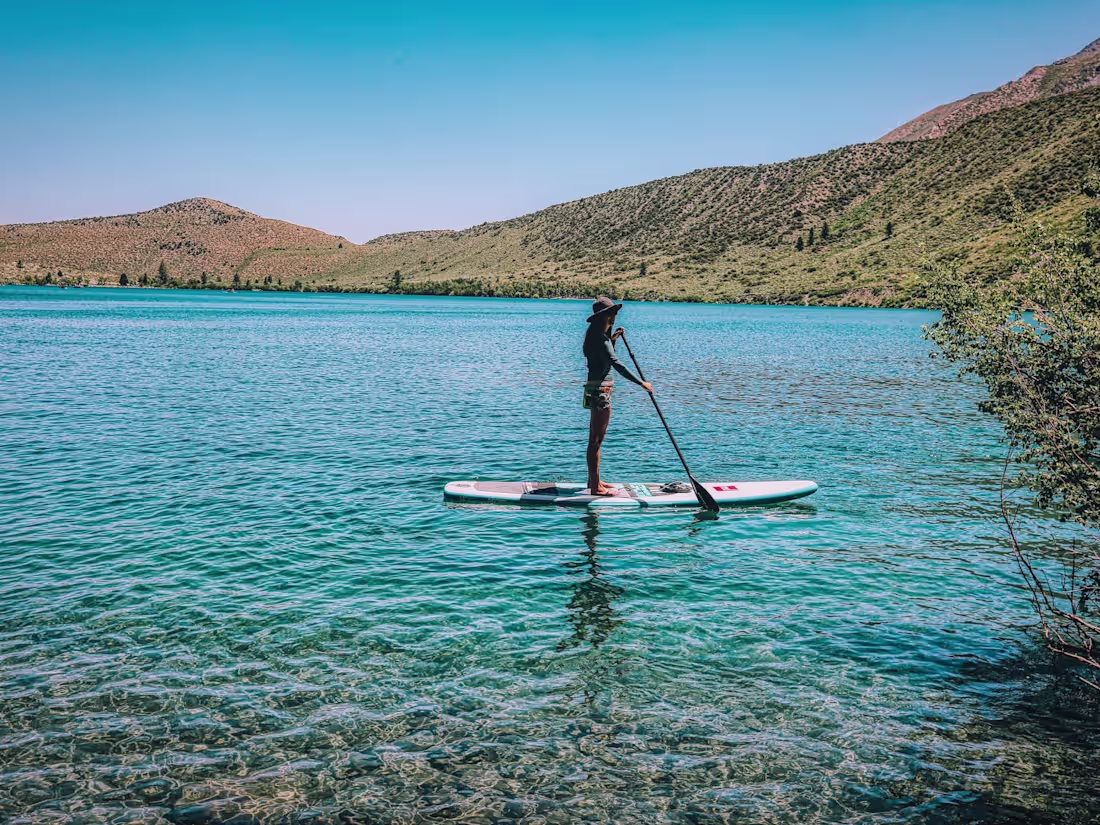 Cover image for Website Copy for State Agency