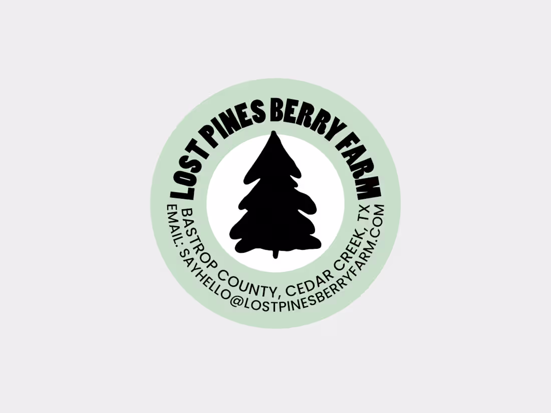 Cover image for Graphic Design