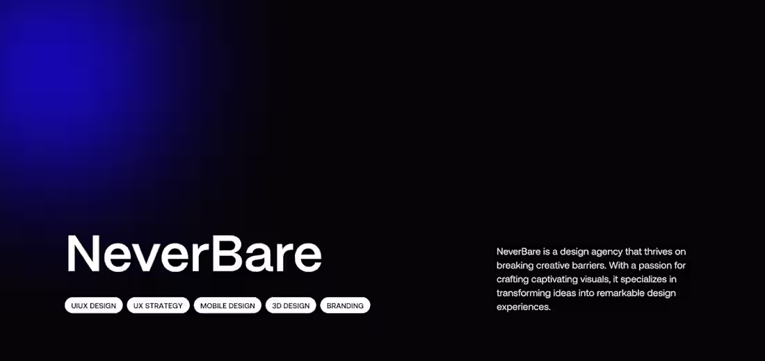Cover image for NeverBare