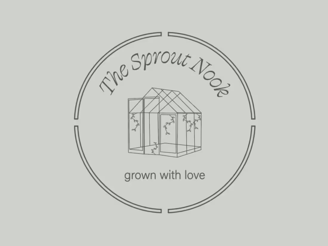 Cover image for Branding for a plant shop