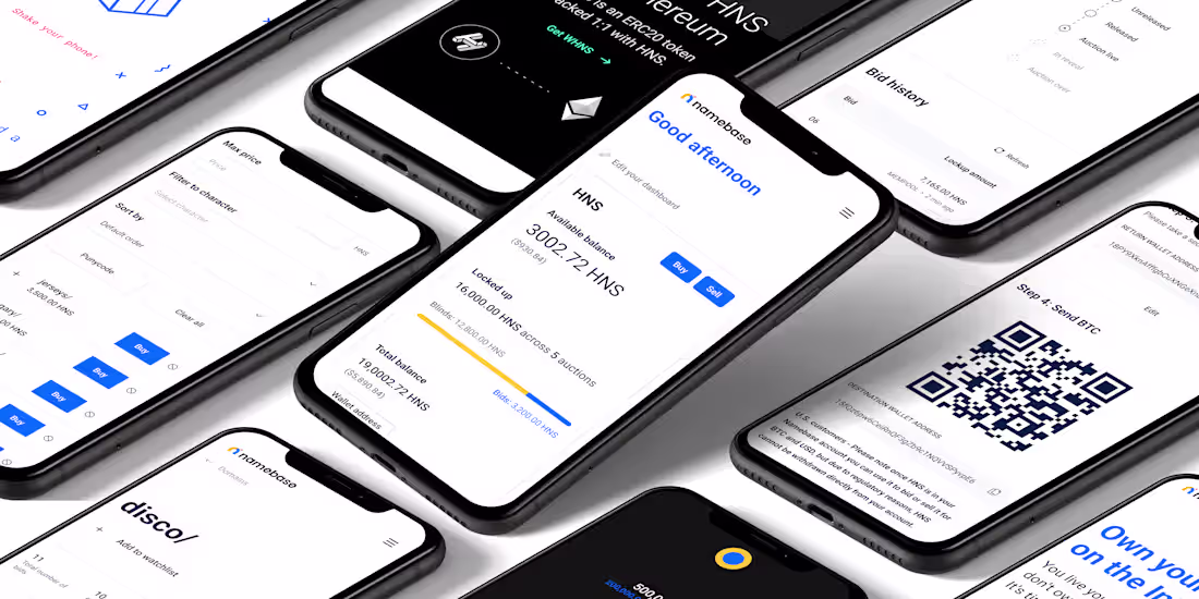 Cover image for Namebase