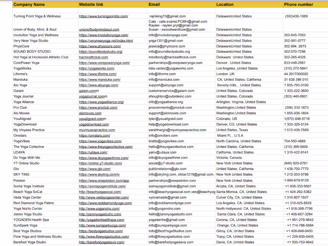 Cover image for Yoga Studio Data Collection & Influencer Collaboration 