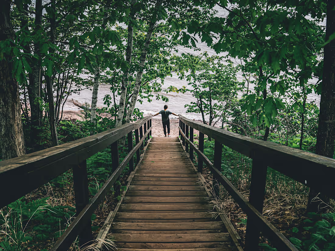 Cover image for Wisconsin's Hidden Gems for Nature Lover's