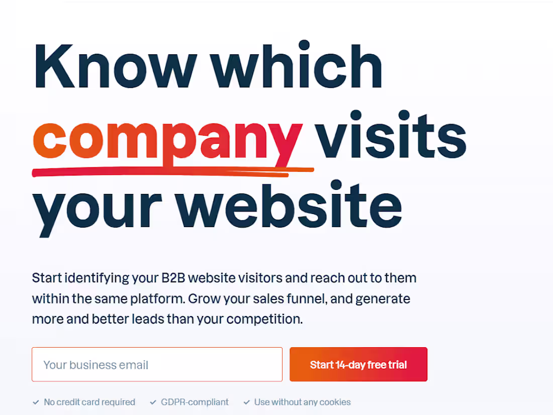 Cover image for Leadinfo website copy