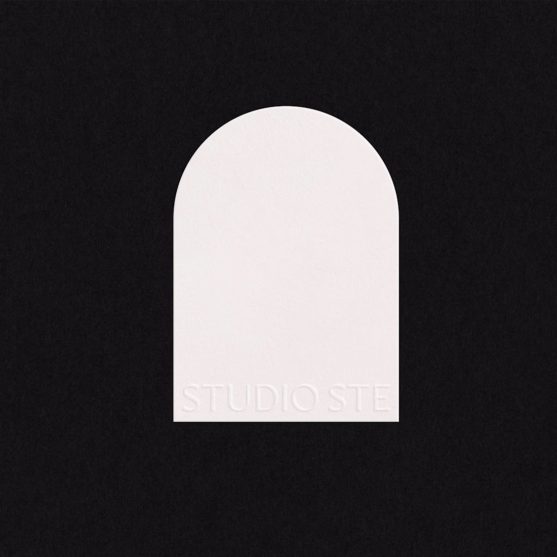 Cover image for Studio STE