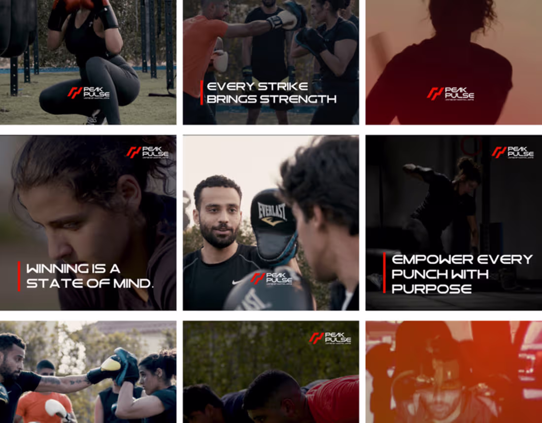 Cover image for Peak Pulse Martial Arts Academy™ | Social Media Posts :: Behance