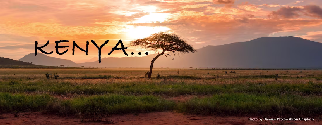 Cover image for Well researched blog posts