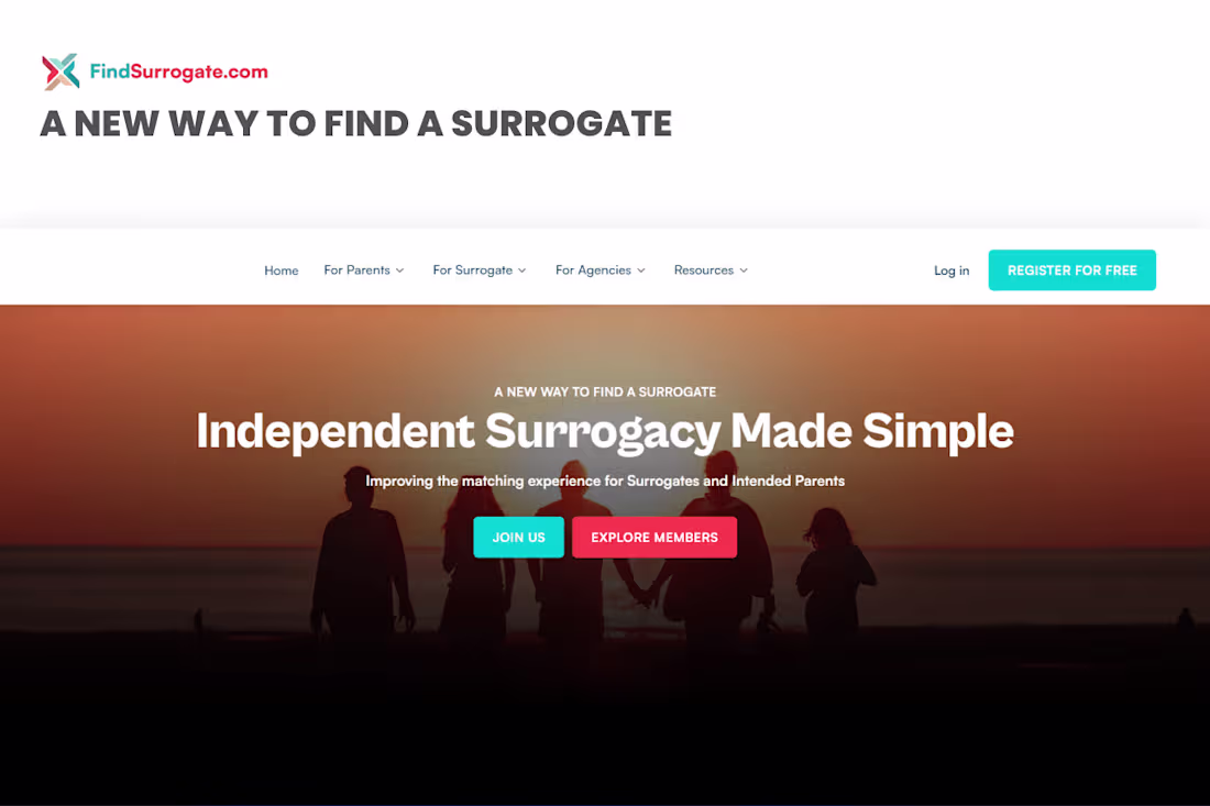 Cover image for FIND SURROGATE