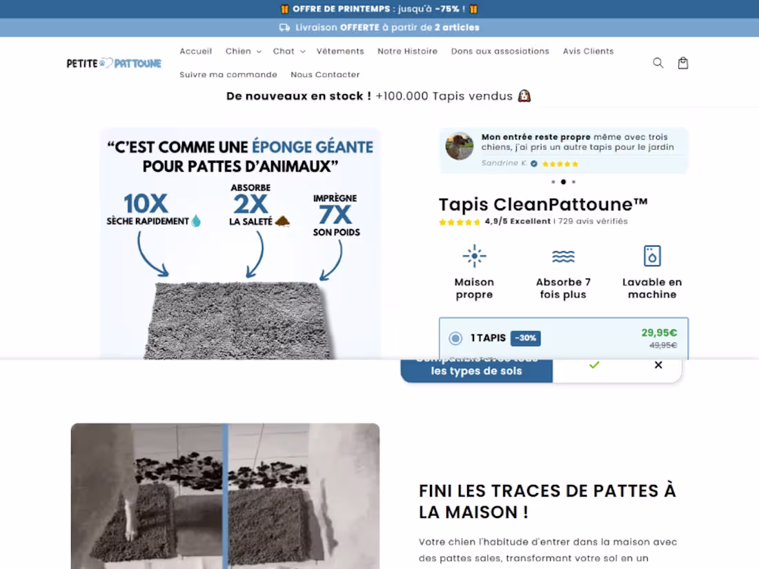 Cover image for Website design Petite Pattoune