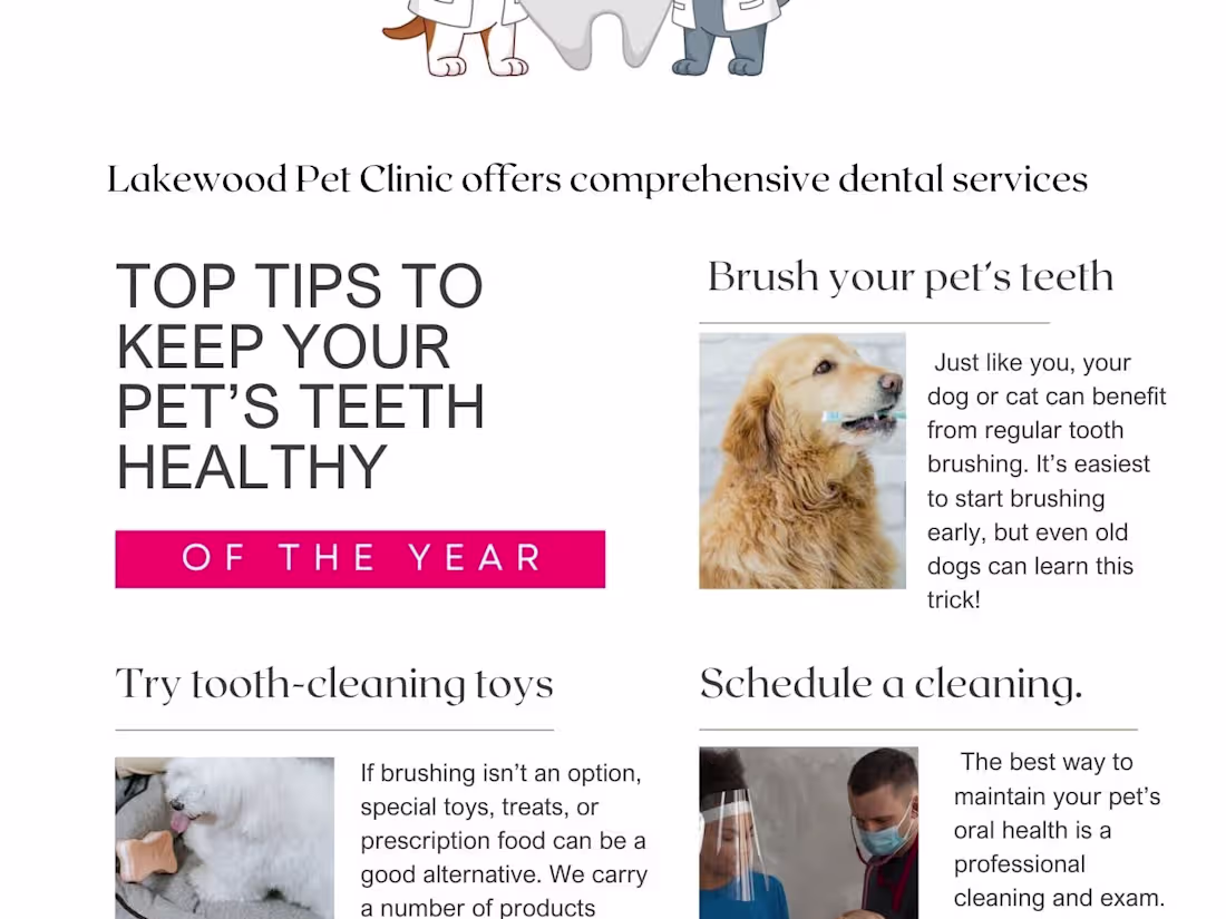 Cover image for "Email marketing" Emails that speak volume 