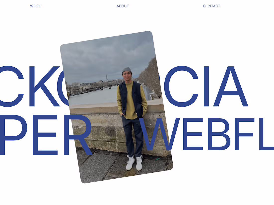 Cover image for Interactive Portfolios