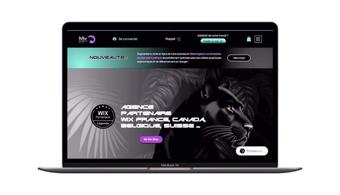 Cover image for Wix Studio expert webdesign and Seo - Sea Google expert