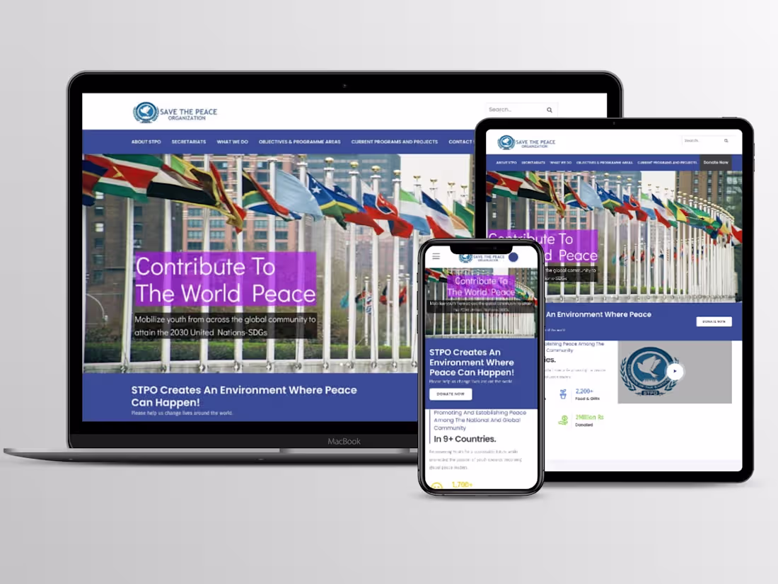 Cover image for WordPress NGO Website