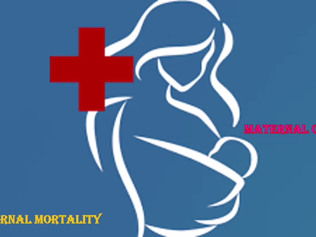 Cover image for Article about Maternal care and Maternal mortality