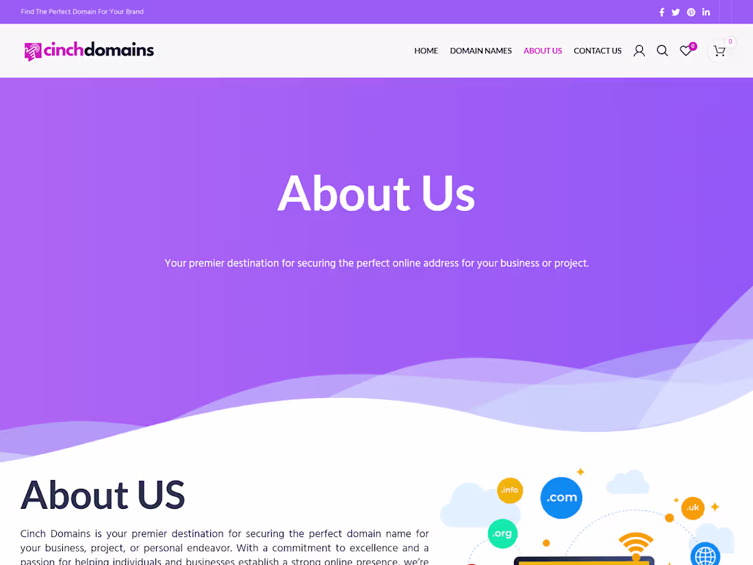 Cover image for Cinch Domains