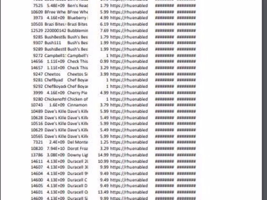 Cover image for Rhunner Store Data Entry