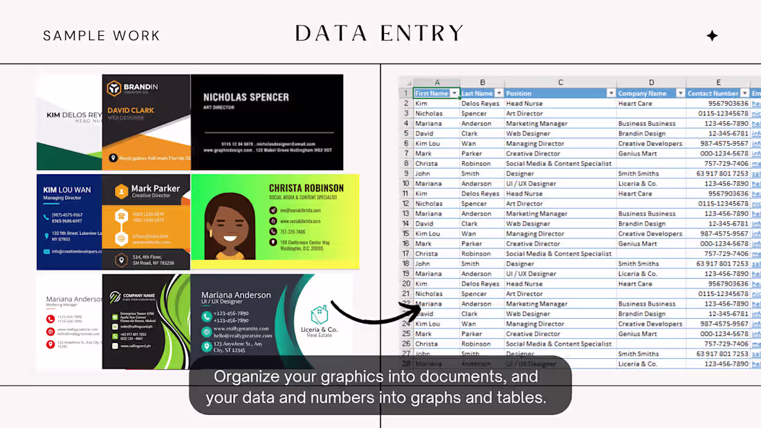 Cover image for Data Entry