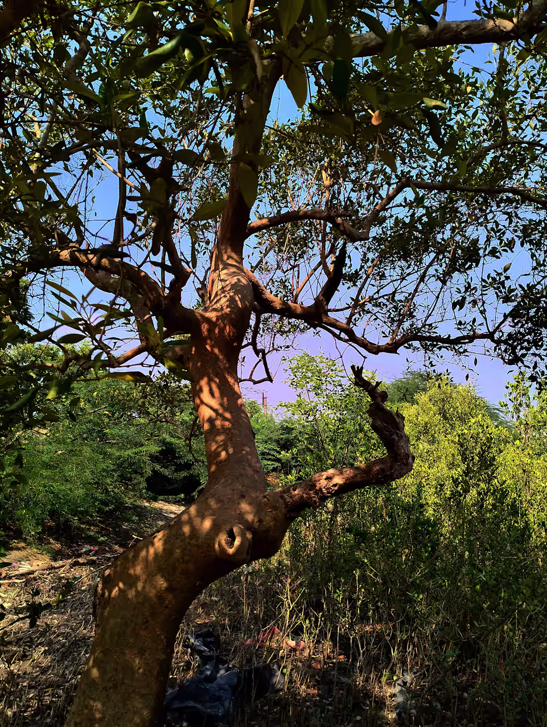 Cover image for Worked on adjusting the brightness