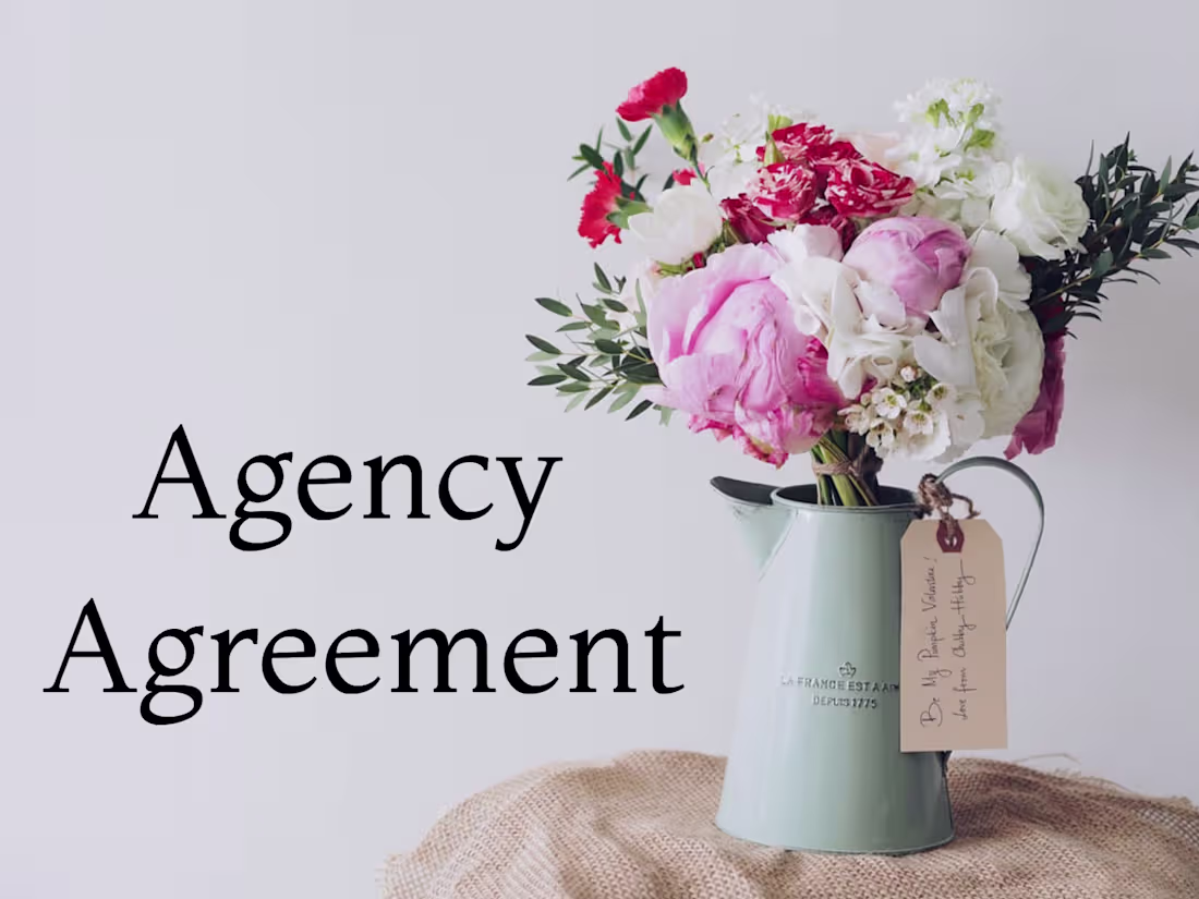 Cover image for Unlock growth with a tailored Agency Agreement, expertly crafted