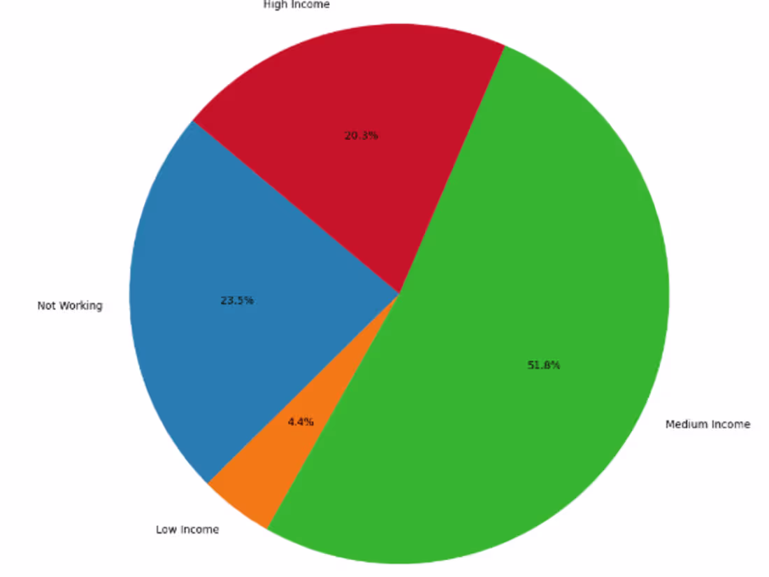 Cover image for Data Analysis Report 