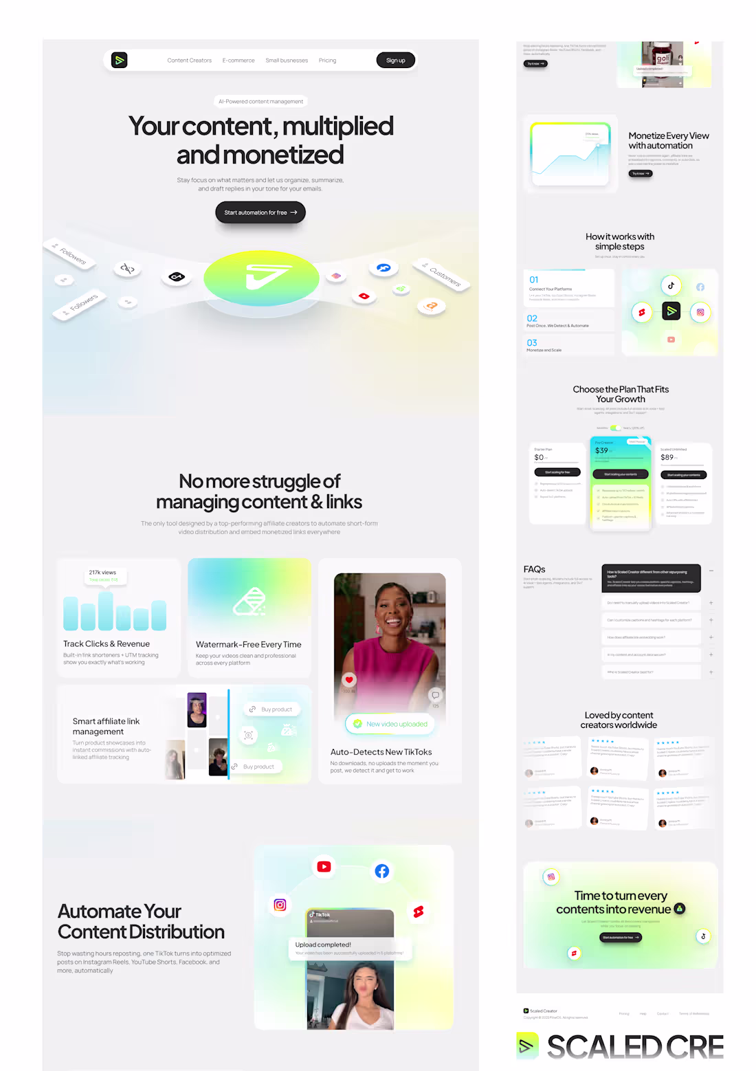 Cover image for Web Design and Logo