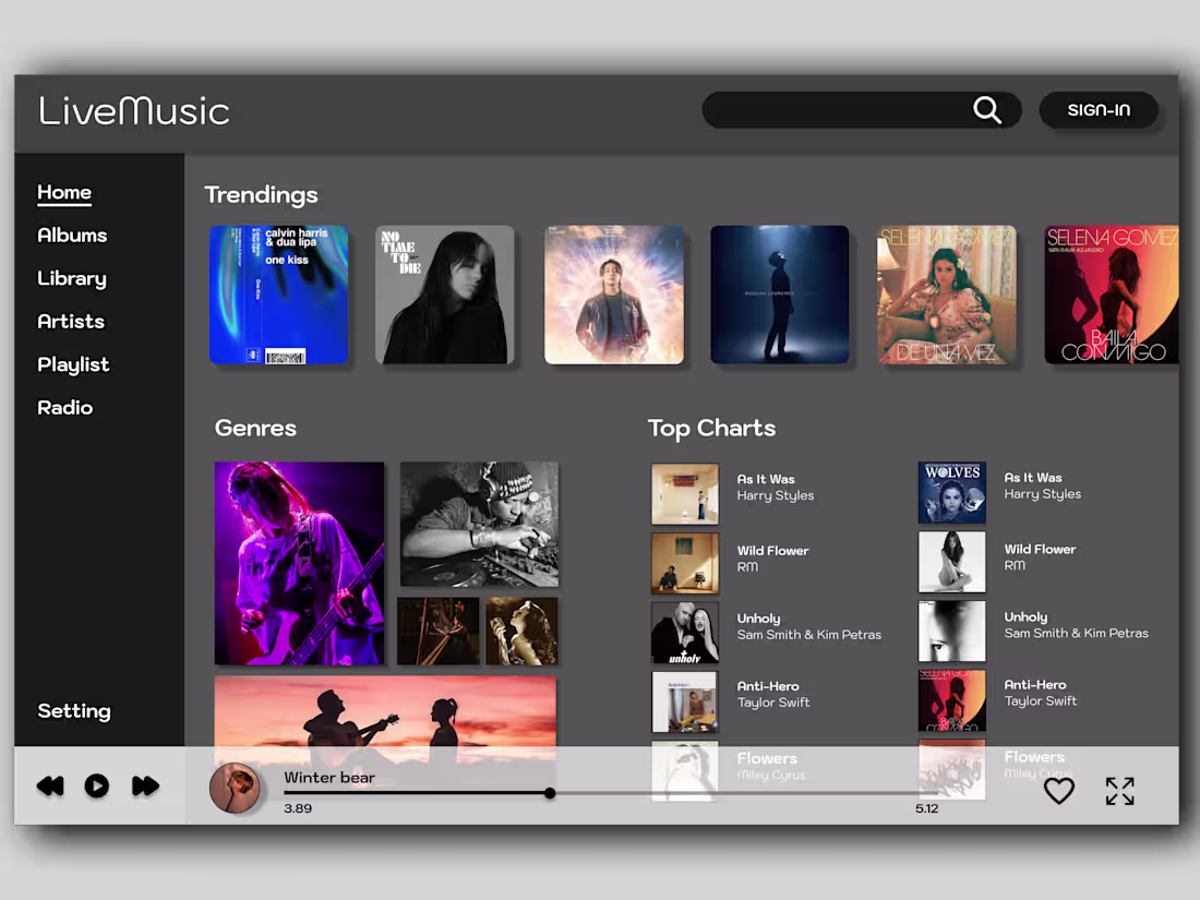 Cover image for Music player