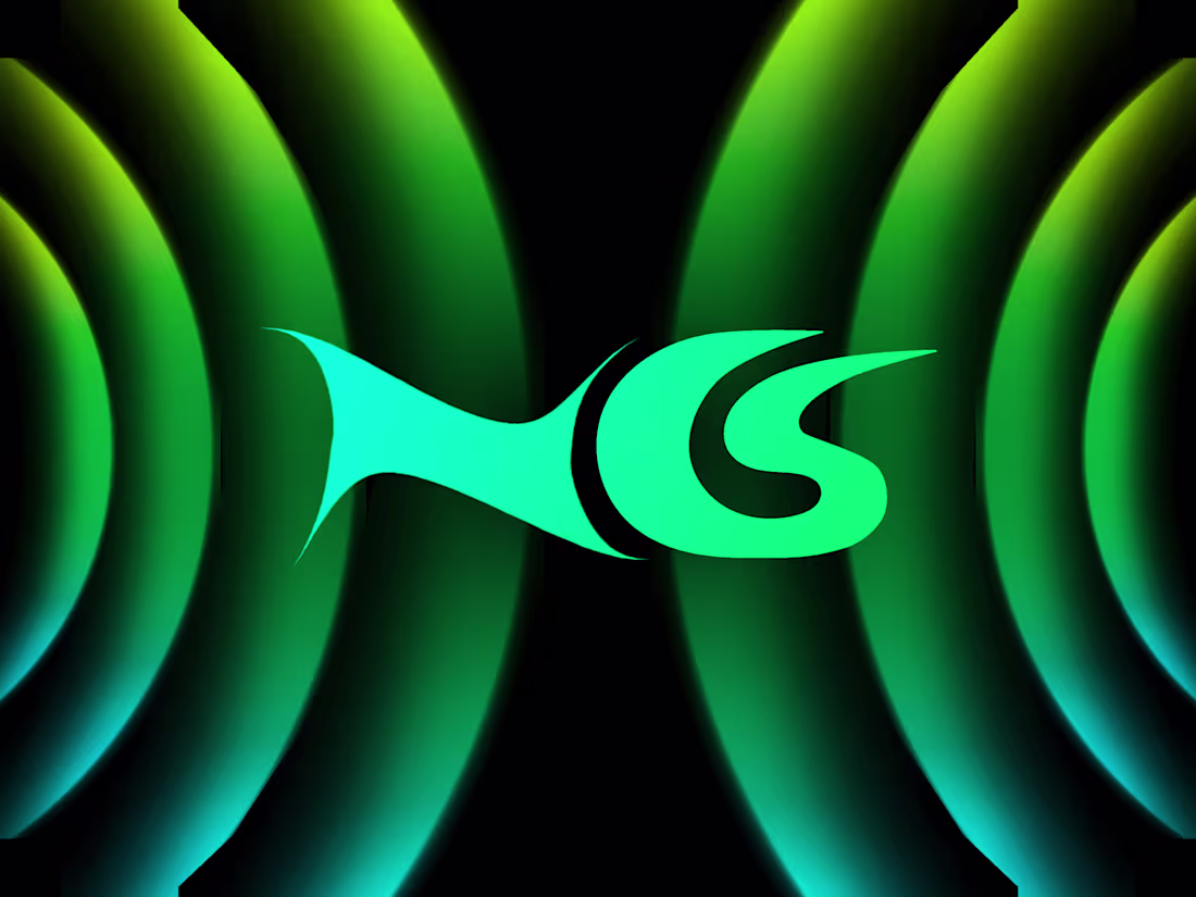 Cover image for THE VISUAL BRANDING !