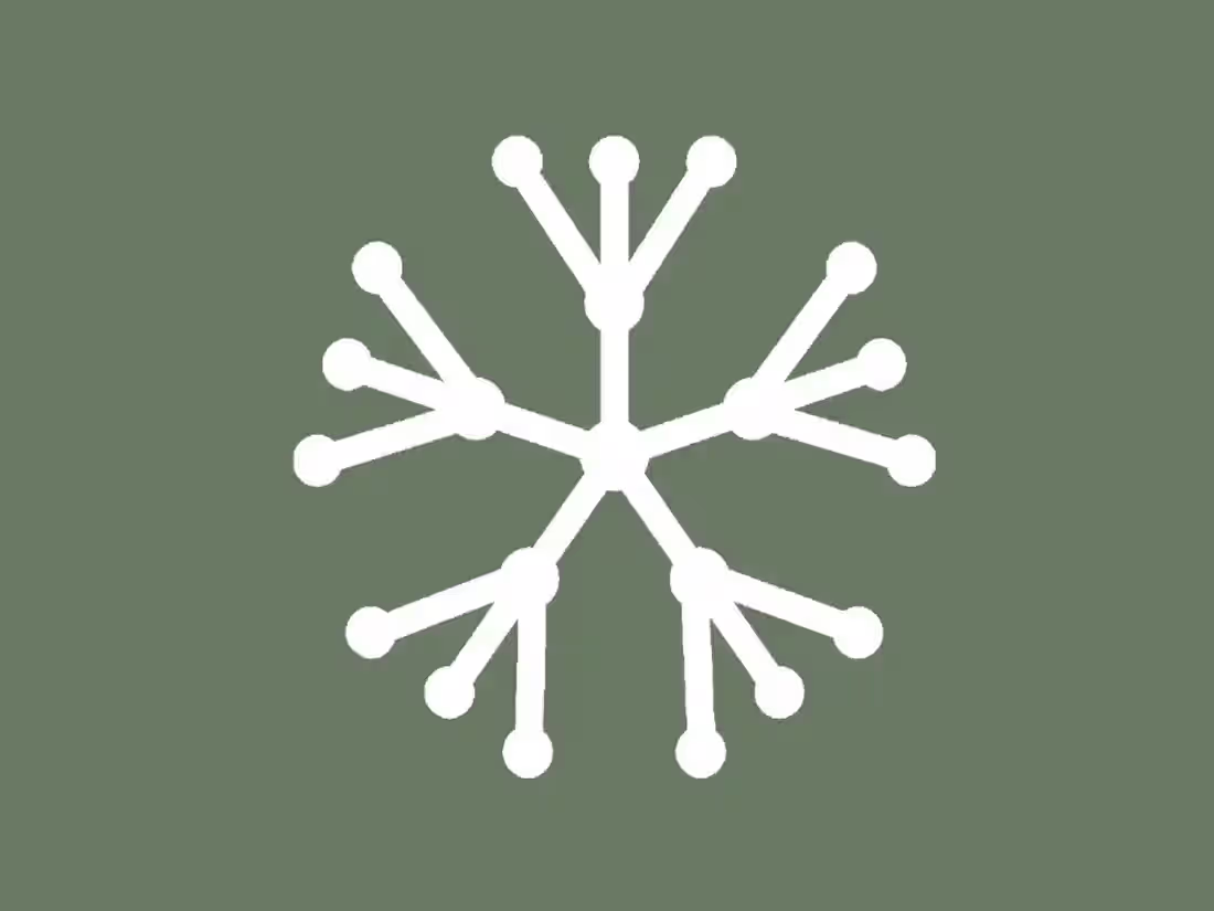 Cover image for datavid
