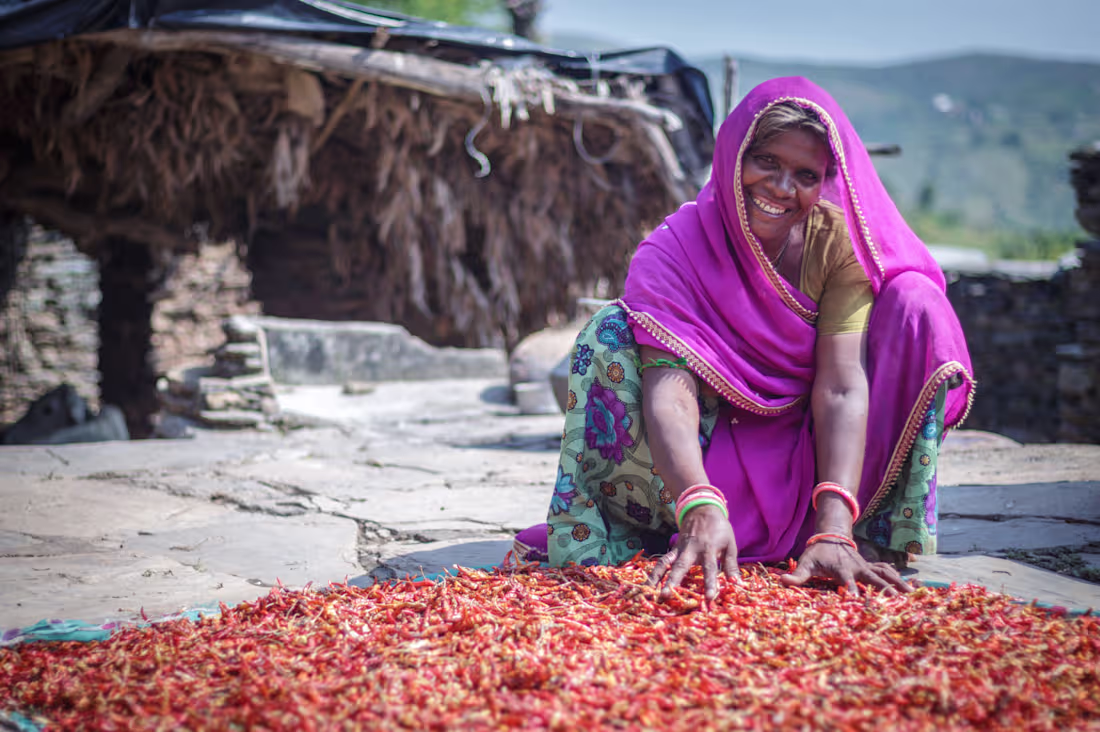 Cover image for Content Writing + Designing for NGO