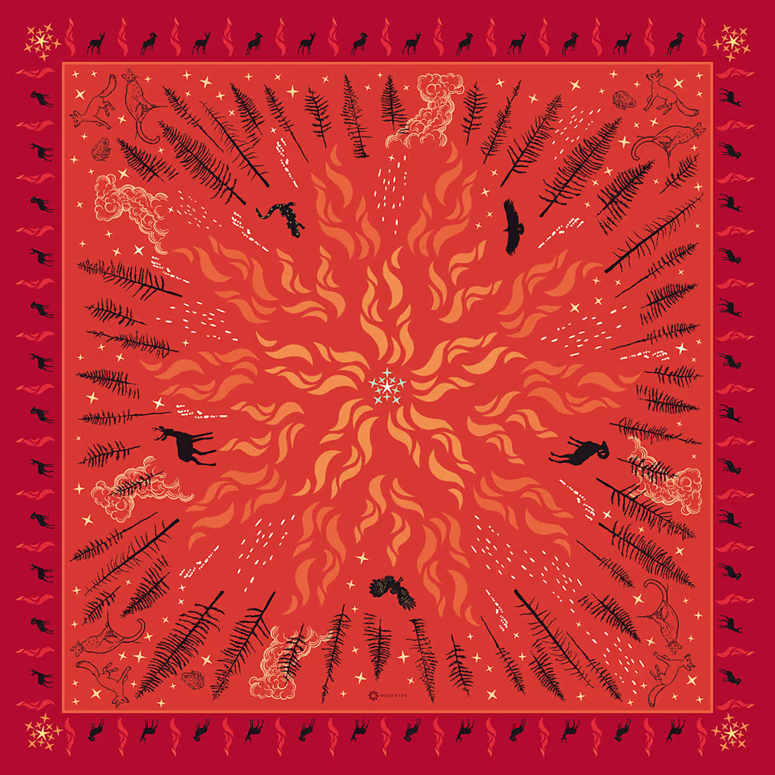 Cover image for Friendly Fire: The Science & History of Indigenous Burning