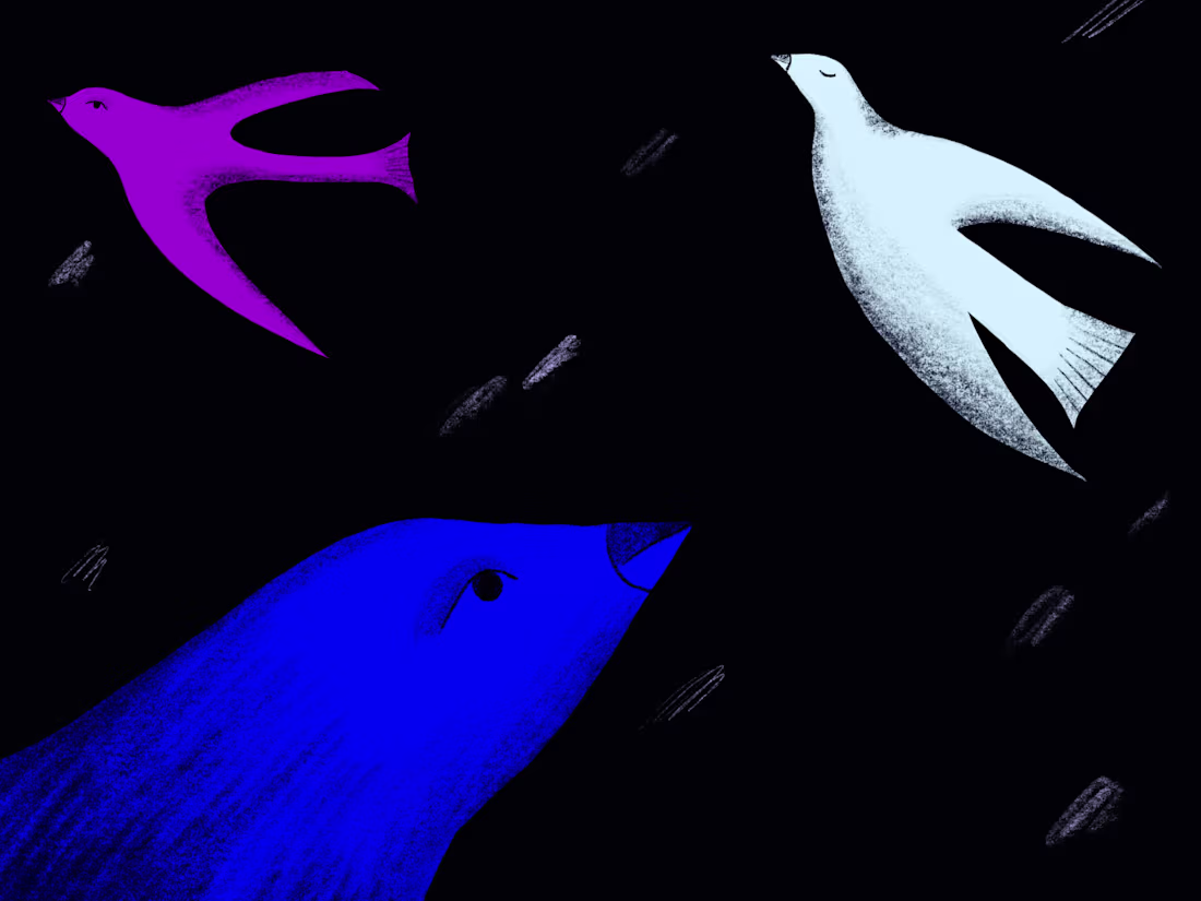 Cover image for fantasist