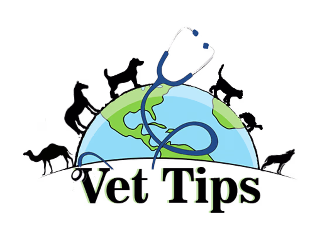 Cover image for Vet Tips - Home of Veterinary and Pets Tips