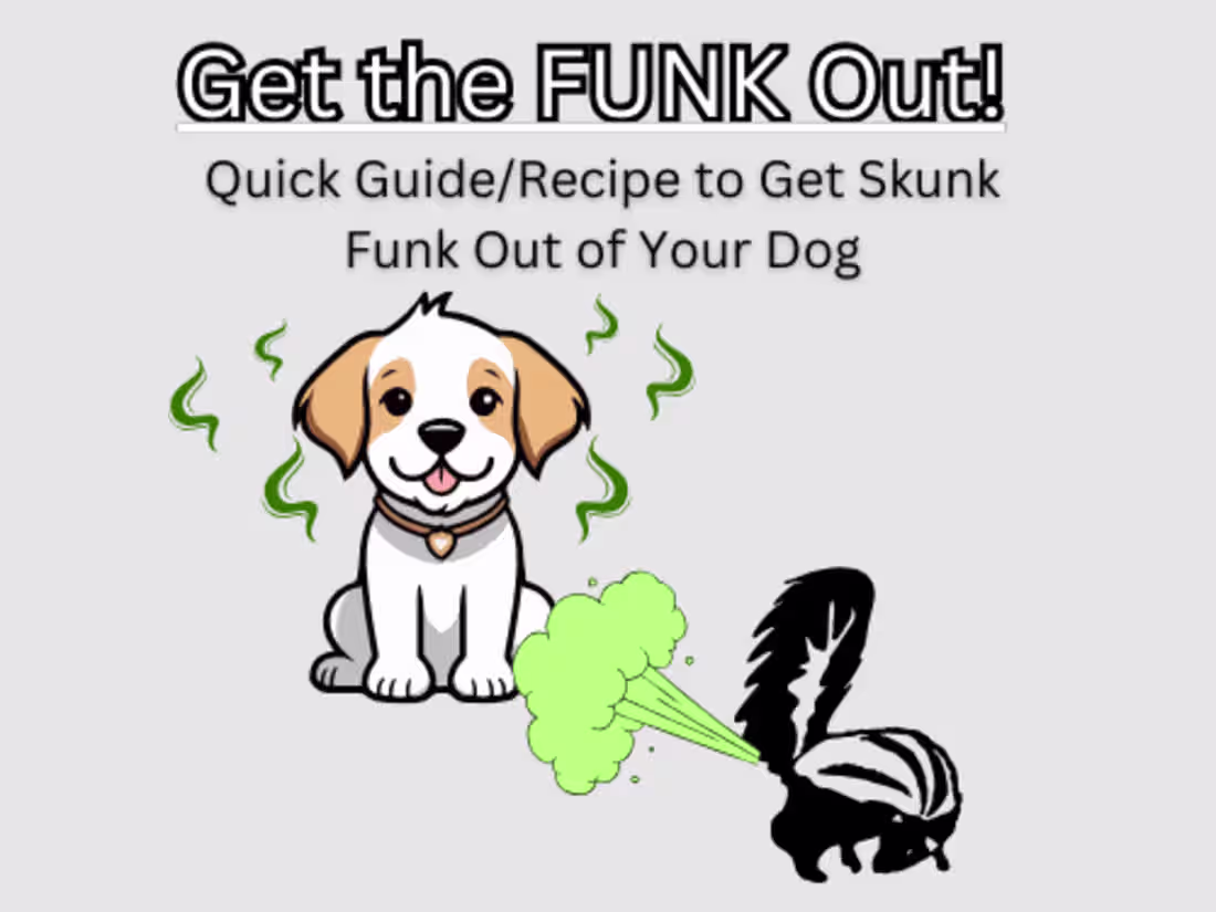 Cover image for Get the FUNK Out! Quick Guide/Recipe for a Skunk Sprayed Do
