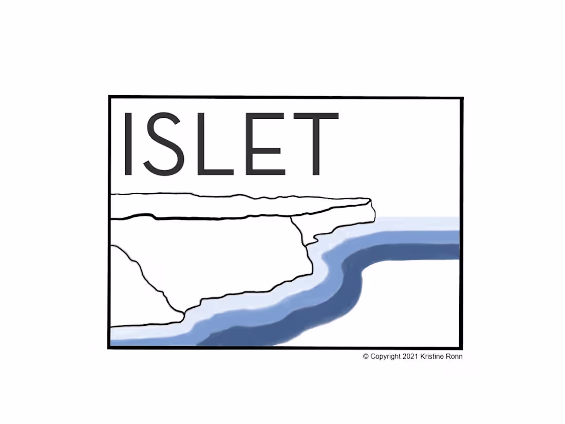Cover image for Islet - Marketing a Start-Up