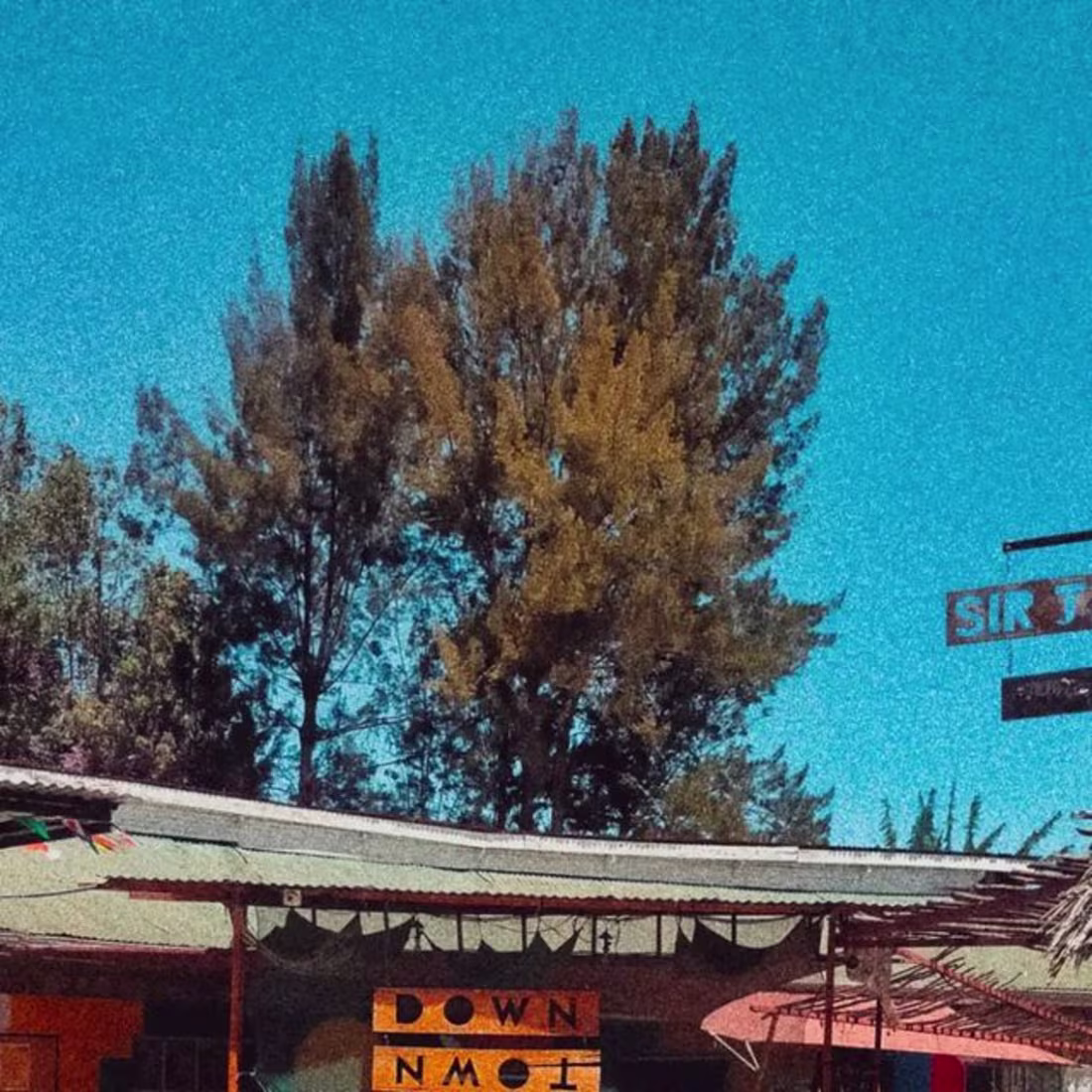 Cover image for B3nie on Instagram: “It is even brighter in the night time, enj…