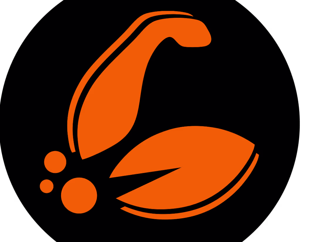 Cover image for Nutrigo 