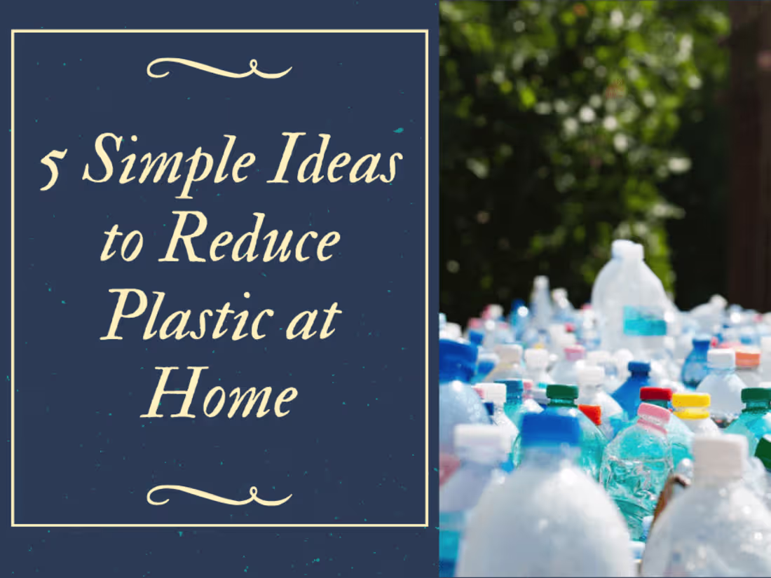 Cover image for SEO Blog Writing: 5 Simple Ideas to Reduce Plastic at Home