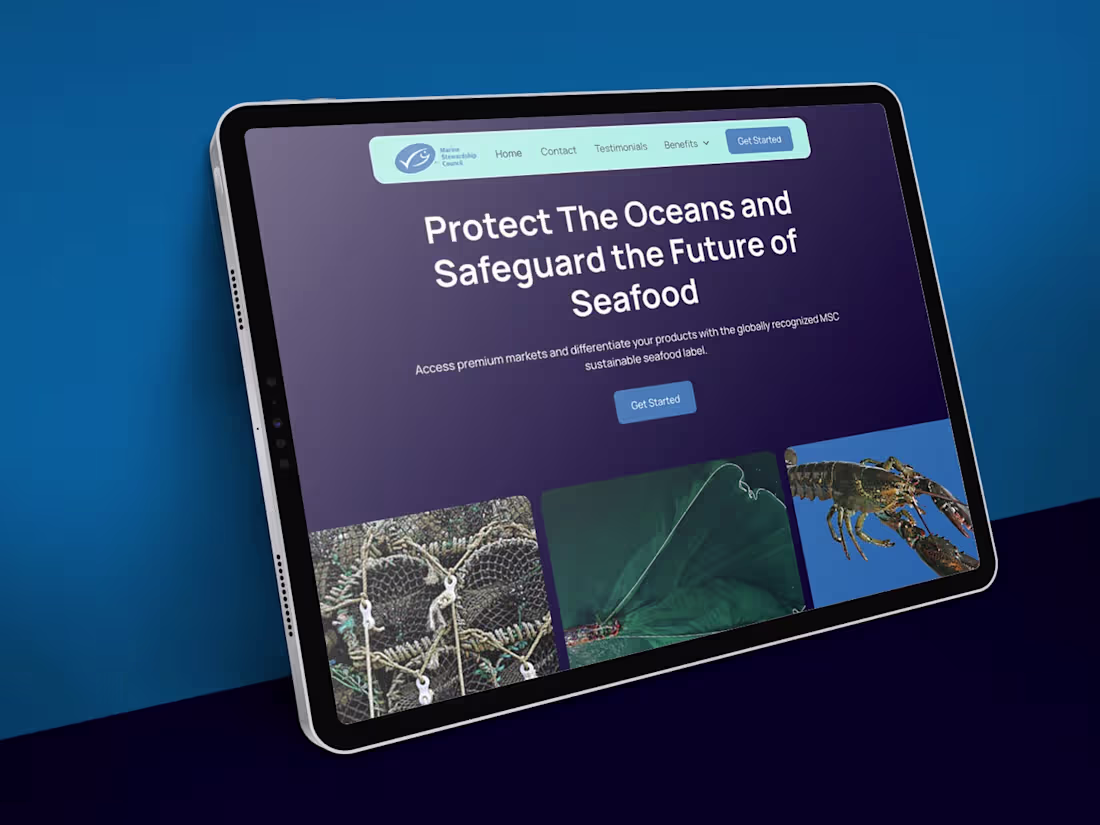 Cover image for Landing Page Redesign for International NGO