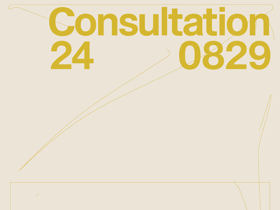 Cover image for Consultation 