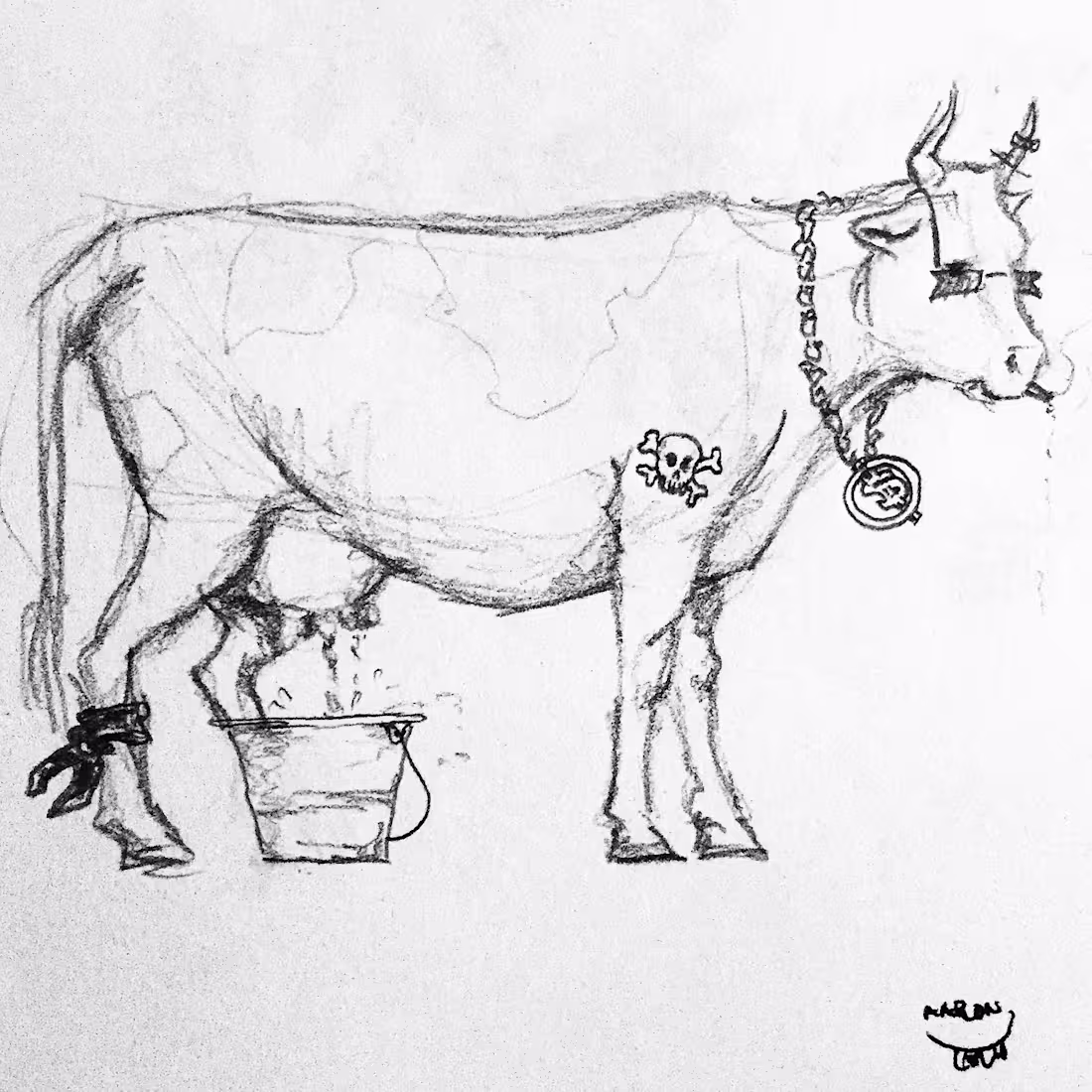 Cover image for Untitled