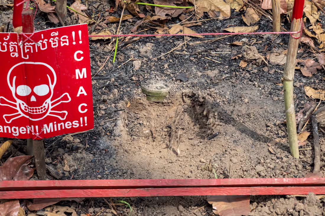 Cover image for 8 Not-So-Fun Facts about Landmines (and 3 More Hopeful Ones)